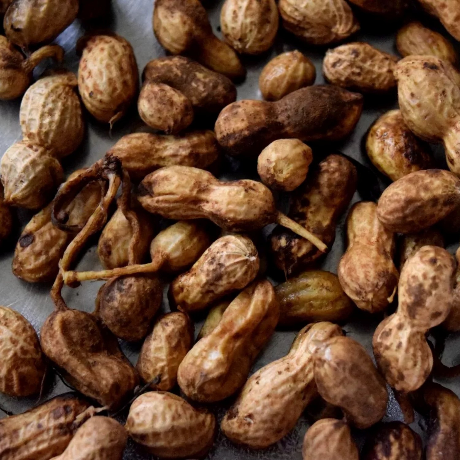 Arachis hypogaea peanuts header