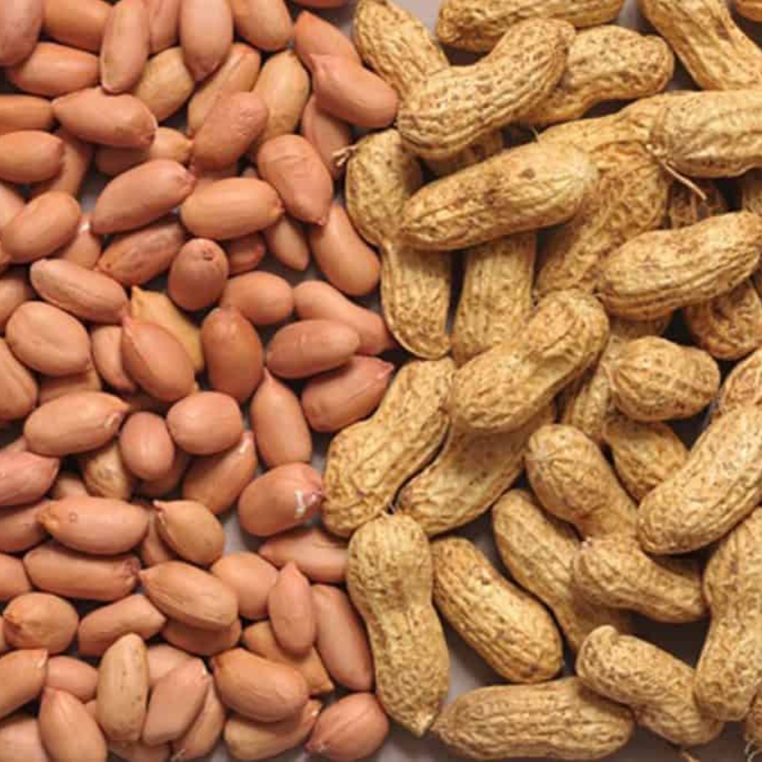 groundnuts